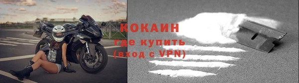 дживик Богданович