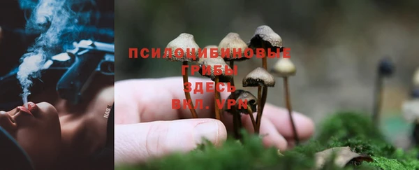 MDMA Володарск